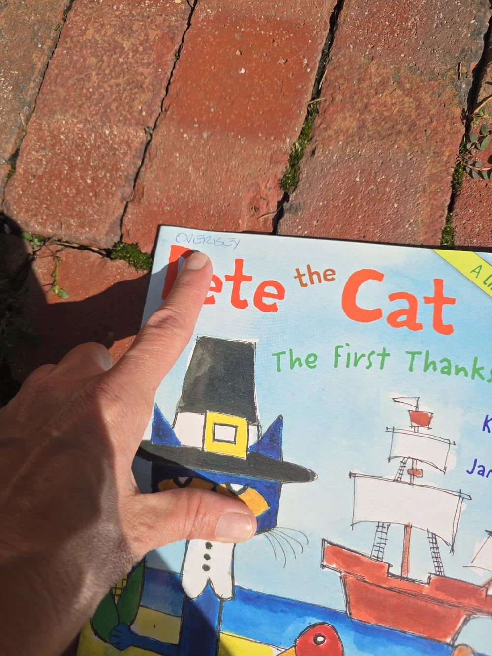 Pete the Cat Kids Book Set Learn To Read Lift The Flap Sticker Books Rhyme